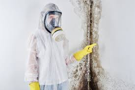 Biohazard Mold Removal in Coulee Dam, WA